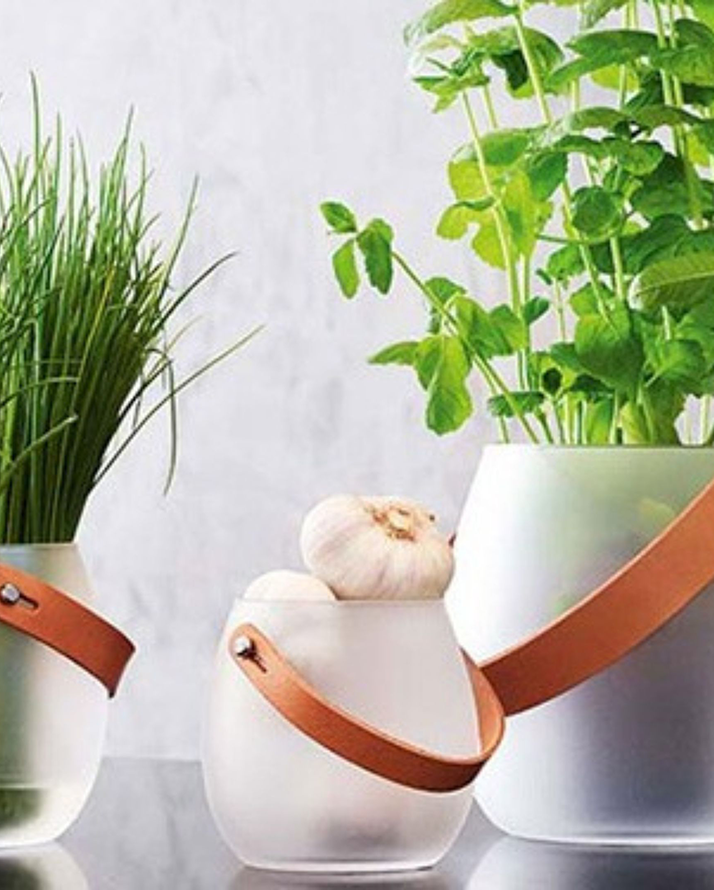 Fiolini - Onlineshop für exklusive Wohn-Accessoires